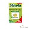 RICOLA CITRON THE VERT