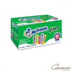 MR FREEZE  GIANT 64 X 105 ML