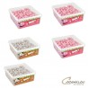 Vente grossiste confiserie COLIS BOOL PATE A MACHER  5+1