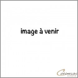 AMOS KIDS  DINOS 12X140G